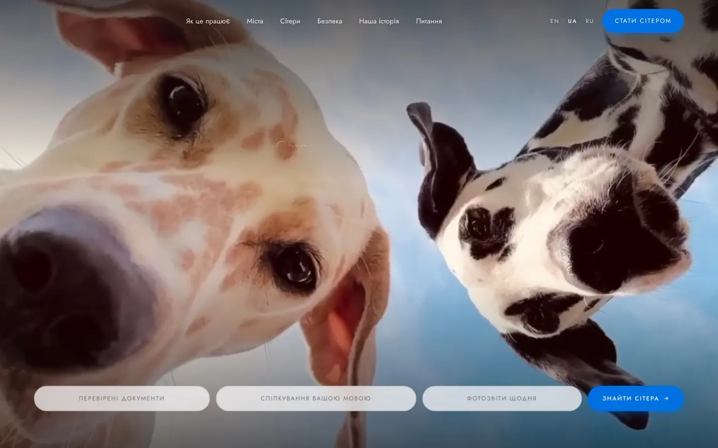 SPAKCY pet care platform — desktop